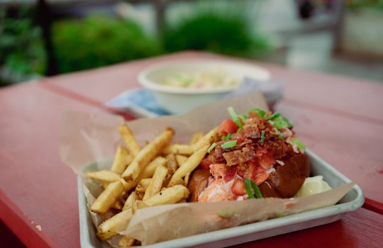 Lobster Roll in Acadia National Park