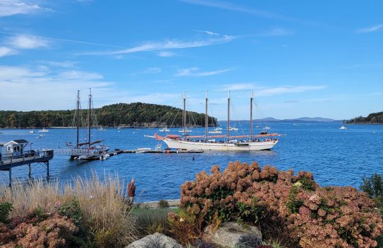 PIC-Schooner bar Harbor dock